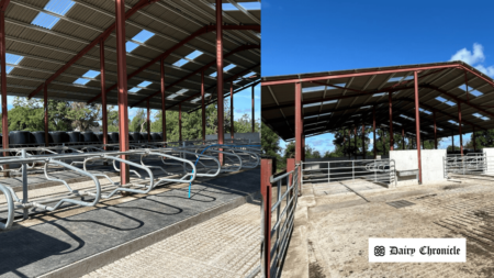 A newly constructed barn designed for housing livestock