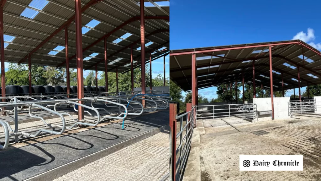 Modernized milking parlour and upgraded cubicle housing at Graze Dairy, Ireland
