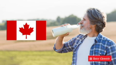 A Canadian flag displayed beside a man drinking milk from a bottle.