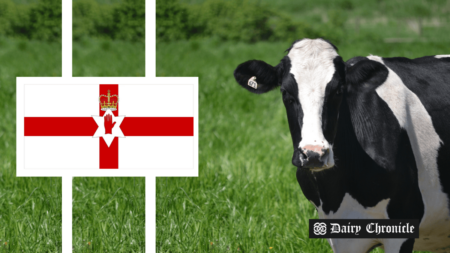 A flag of Ireland in the foreground with a cow standing on the ground in the backgroun