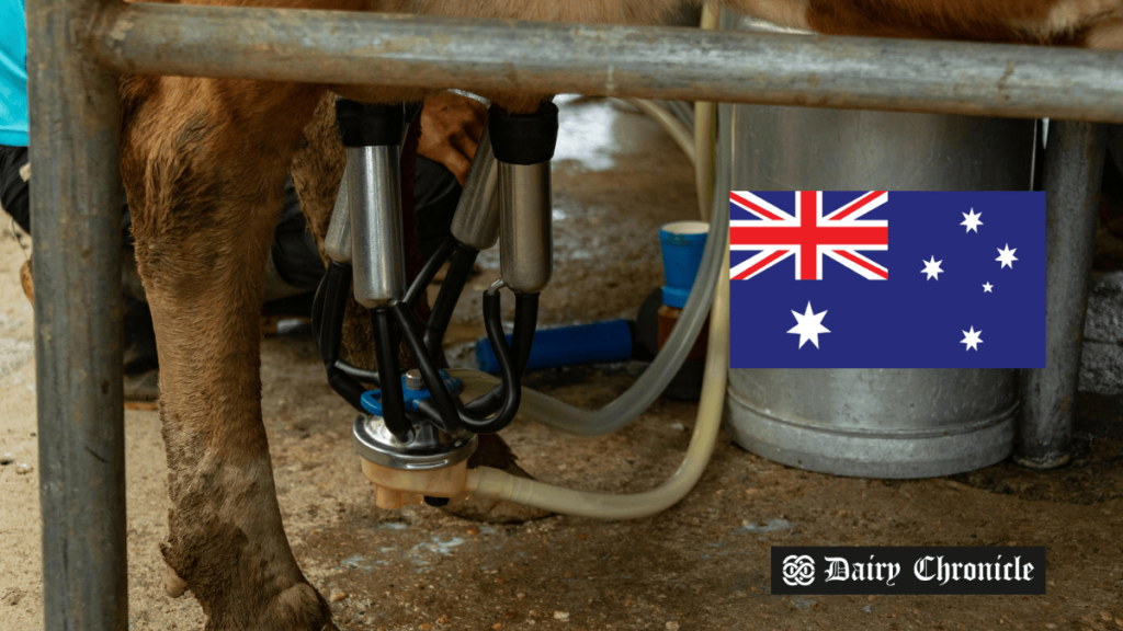 A robotic milking system displayed beside the flag of Australia