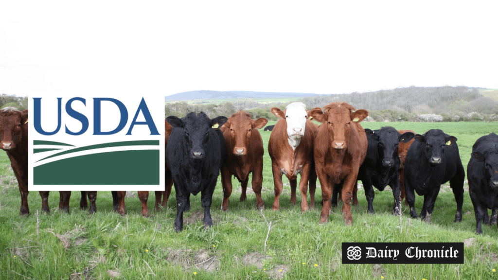 USDA logo alongside a herd of cows, highlighting the new milk pricing rules for 2025.