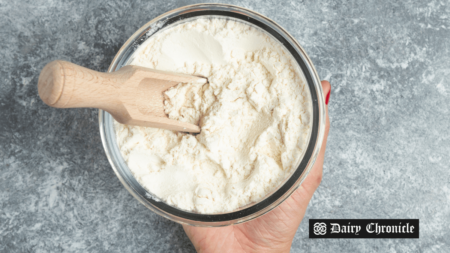 A bowl containing skimmed milk powder, representing Algeria’s Soummam dairy company’s 2025 tender.