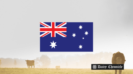 Cows grazing in a field with the Australian flag, symbolizing the debate over the removal of ADPF from Dairy Australia.