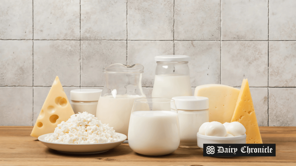 Assortment of dairy products including milk, cheese, and yogurt, symbolizing the UK Dairy Trade Association's focus on balancing nutrition and sustainability.