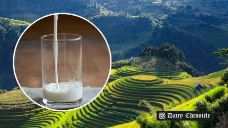 A glass of milk with an outline of Vietnam, symbolizing the projected 4.58% growth in Vietnam's dairy enzymes market by 2029.