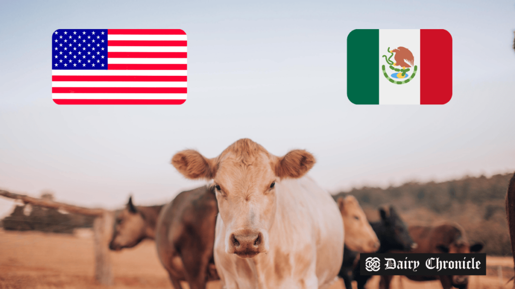 American and Mexican flags with a cow standing between them, symbolizing Mexico as the top destination for U.S. dairy exports in 2024.