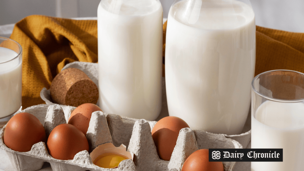 A glass of milk and eggs, symbolizing key drivers of change in the dairy market through 2025.