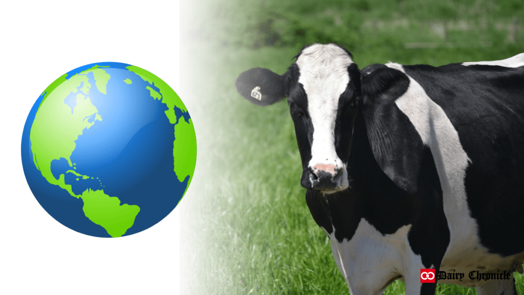 A standing cow beside an image of Earth, representing global milk production trends in 2024.