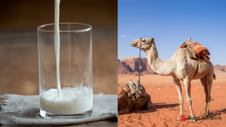 Glass of milk beside a standing camel in the desert, highlighting camel milk's unique health benefits