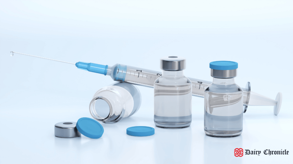 Image showing three vaccination bottles and one syringe, representing France's expanded bluetongue vaccination campaign with free doses for farmers.