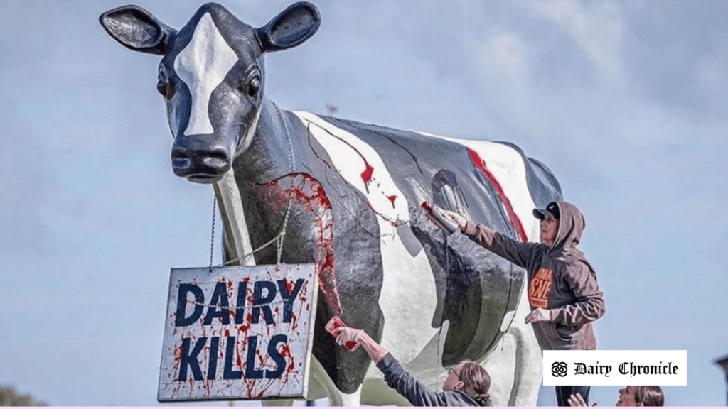 Protesters spreading red paint on a cow statue with a 'Dairy Kill' sign at Fonterra's Whareroa plant.