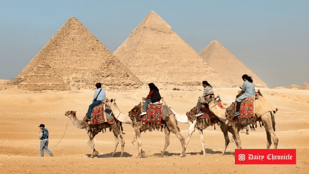 A group of five people traveling on four camels across a desert, representing the Camilk project in Morocco