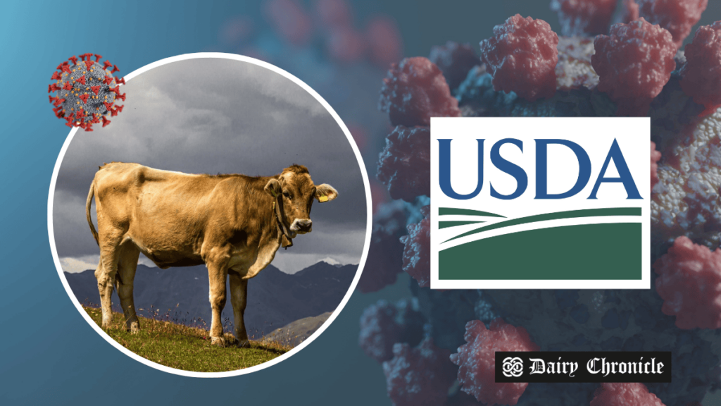 Standing cow beside USDA logo and virus structure, depicting the impact of HPAI H5N1 outbreak on U.S. dairy cattle.