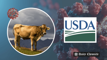 Standing cow beside USDA logo and virus structure, depicting the impact of HPAI H5N1 outbreak on U.S. dairy cattle.