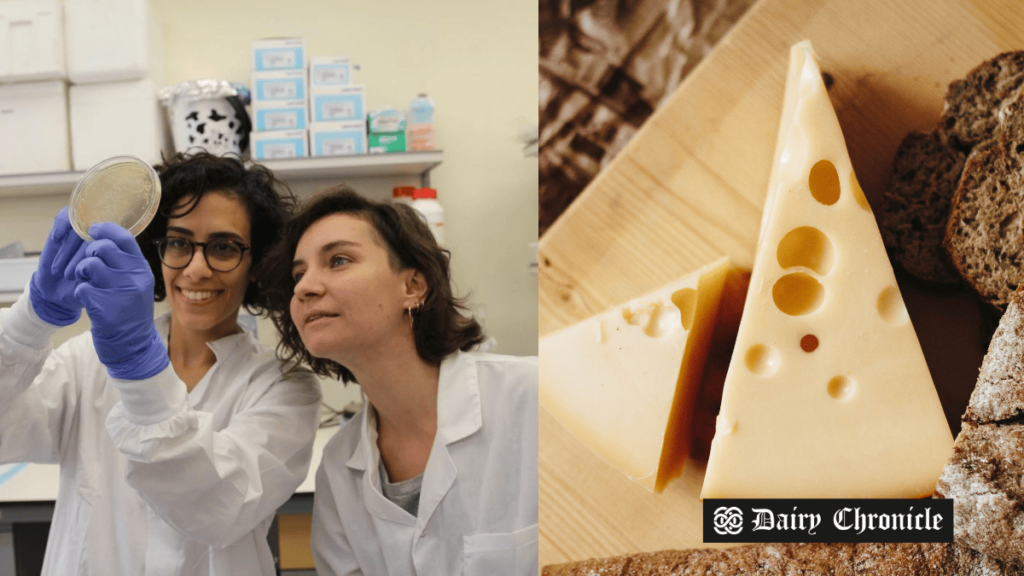 Women researchers in the lab with a bowl of butter slices, showcasing DairyX Foods' innovation in animal-free casein proteins.