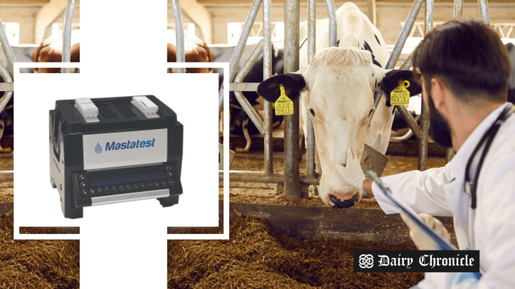 Mastatest diagnostic tool with a barn full of dairy cattle in the background and veterinarians examining a cow