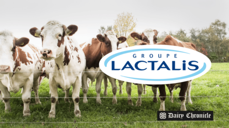 A herd of cows with the Lactalis logo, symbolizing NFU Scotland’s outrage over Lactalis’s sudden contract cancellations for dairy farmers.