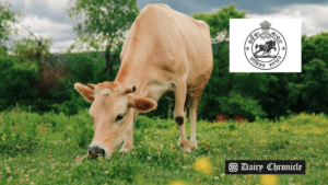 Herd of cows with the Odisha government logo, symbolizing the $168 million Mukhyamantri Kamdhenu Yojana to revolutionize dairy farming.