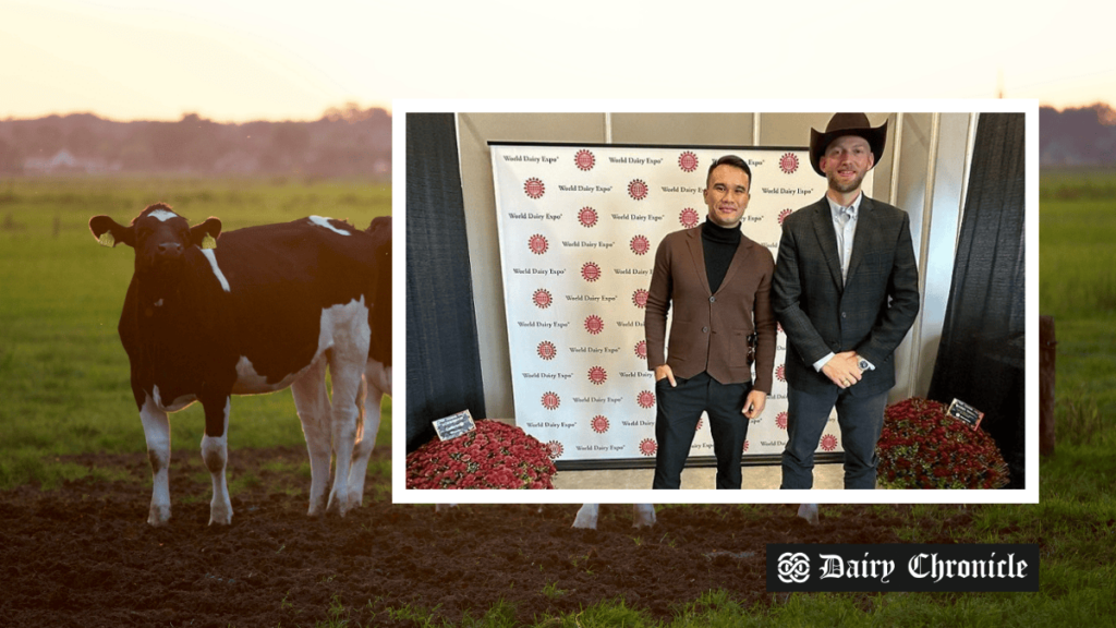 Kazakhstan farmer using American innovations in dairy farming with a cow