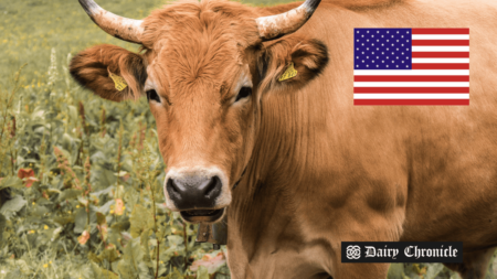 Cow with the USA flag, representing U.S. plans to expand milk and meat processing to curb monopolies.