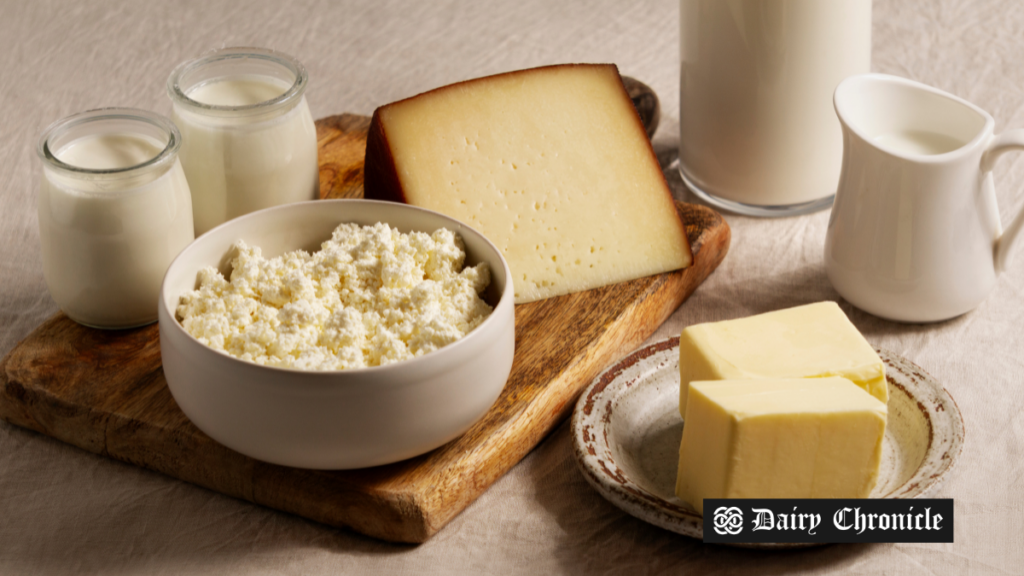 Assorted dairy products, representing the U.S. Dairy Runway Entrepreneurship Program's call for its fourth round of applications.