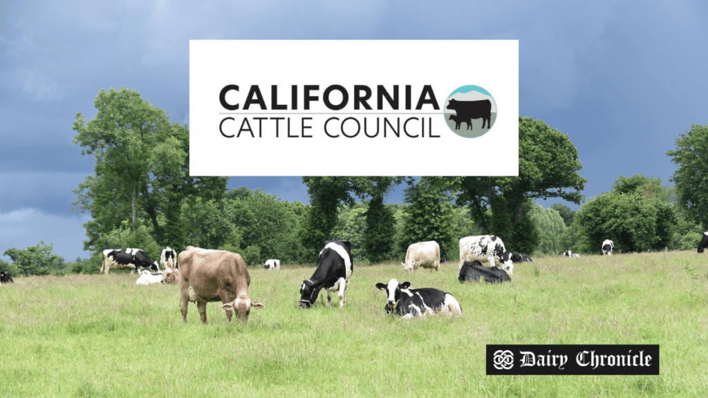 Dairy cows grazing on a field with 'California Dairy Sector' in the foreground, representing the study on direct regulation's impact on the U.S. economy and climate goals.