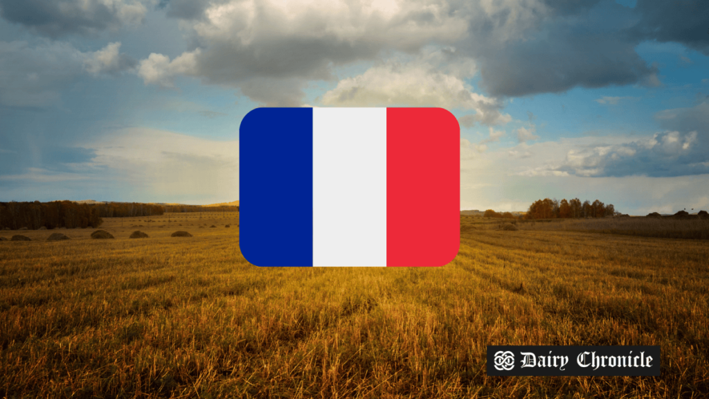 French farm with French flag in the background, highlighting the protest against the EU-Mercosur deal.