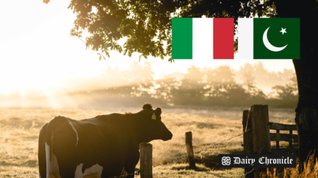 A cow grazing in a field with the Pakistan and Italy flags, symbolizing the interest in investing in Pakistan's dairy and agricultural sectors.