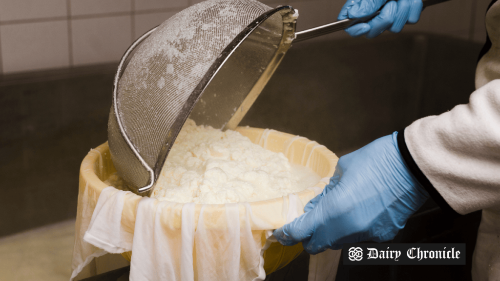 Whey being processed on a dairy farm, symbolizing the issue of whey waste in Australia.