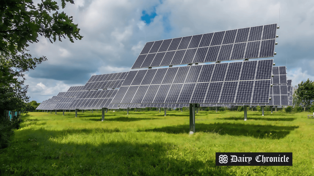 A solar panel in a dairy farm setting, symbolizing the use of solar-powered milking technology in Malawi.