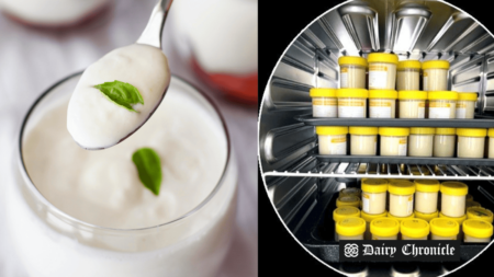 A bowl of yogurt with a spoon scooping from it, alongside packed yogurt containers.