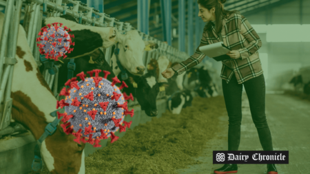 Image showing virus structure with a background of a barn where dairy cattle are grazing and a woman checking on the cows, indicating the CDC's recommendation for routine testing of dairy workers exposed to H5N1 bird flu