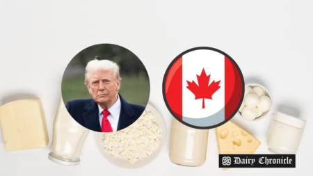 Donald Trump with a Canadian flag and dairy farm in the background, representing the debate over Canada’s dairy trade policies.