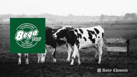 Bega Group logo in the foreground with cows grazing in the background, symbolizing the company’s record-breaking year in the dairy industry.