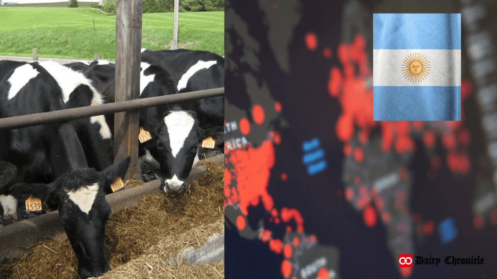 Group of cows grazing in an open barn alongside Argentina's flag, highlighting the country's dairy sector struggles due to the economic crisis.