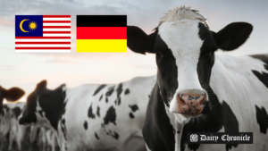 German dairy products displayed in a Malaysian supermarket, symbolizing Germany’s return to the Malaysian dairy market.