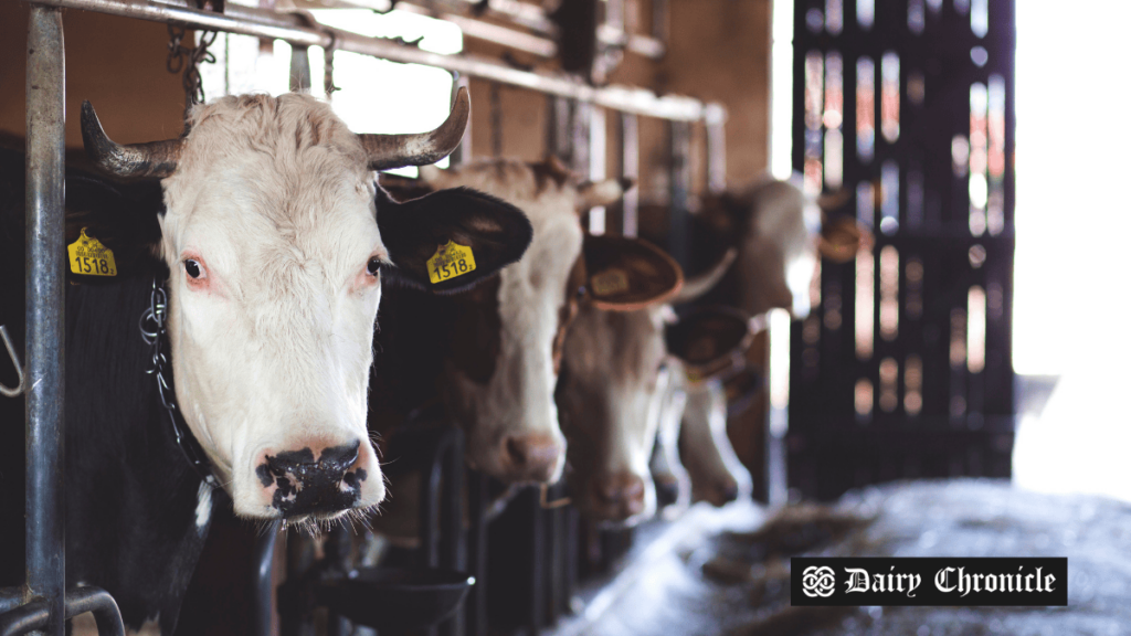 Arla dairy products with environmental slogans, highlighting accusations of greenwashing and political influence.