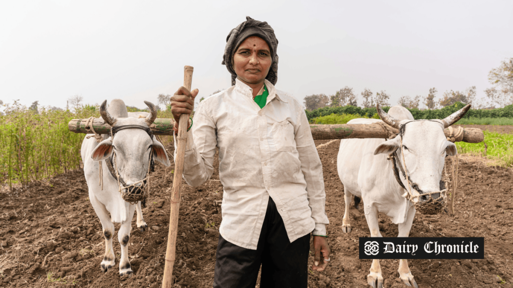 US and India in landmark BTA talks over agriculture and dairy market access.