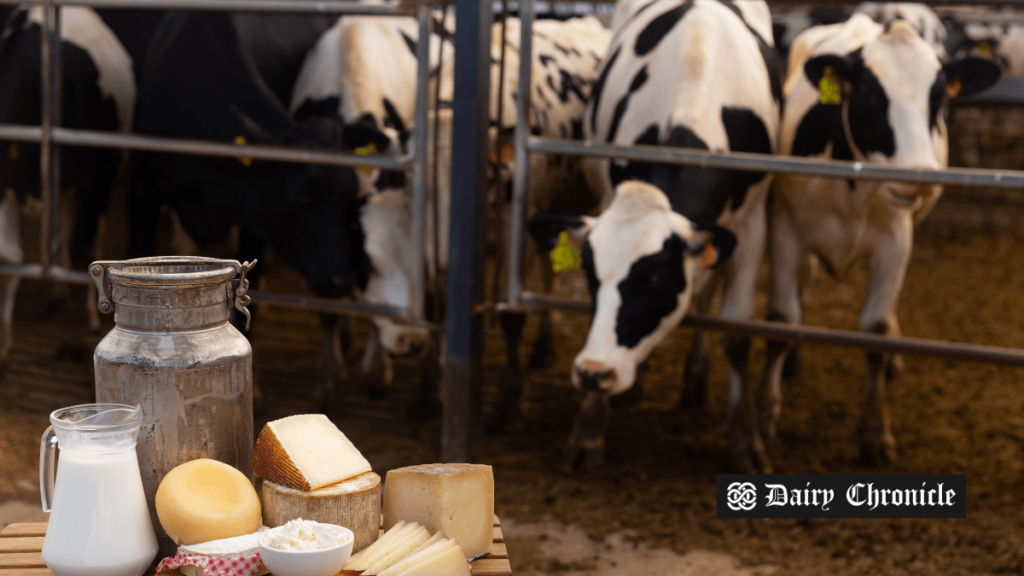 Nepal dairy farmers protesting over delayed payments from dairy companies.