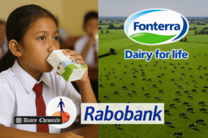 Indonesian schoolchildren receiving milk as part of the national free meal program